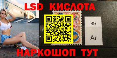 индика Надым