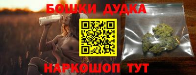 индика Надым