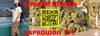 индика Надым