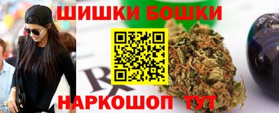 индика Надым